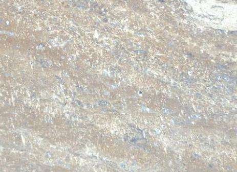 Travertine Noah 1
