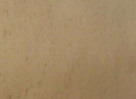 Vincent Beige Limestone 1