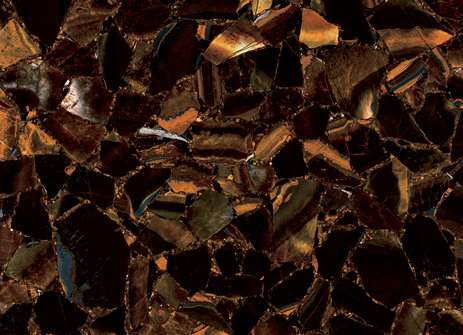 wild tiger eye