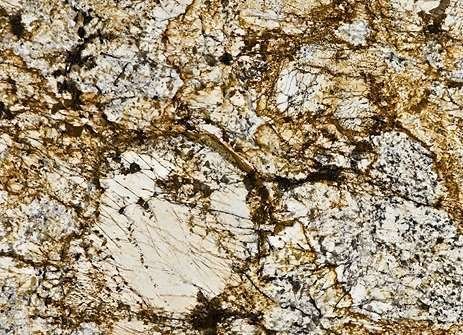 Honey Granite 119
