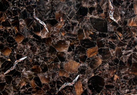 Smoky Dark Precious 17