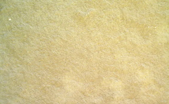 Tandur Limestone tand