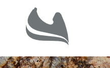 pedra do frade logo
