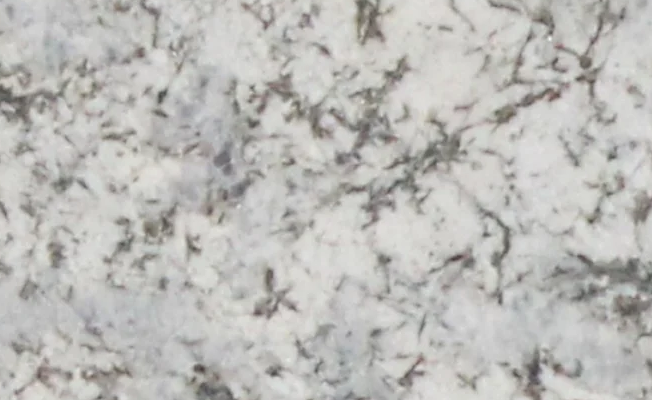bianco ange