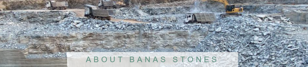 banas s
